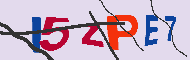 キャプチャ(CAPTCHA)認証コード