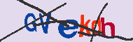 キャプチャ(CAPTCHA)認証コード