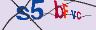 キャプチャ(CAPTCHA)認証コード