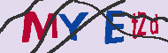 キャプチャ(CAPTCHA)認証コード